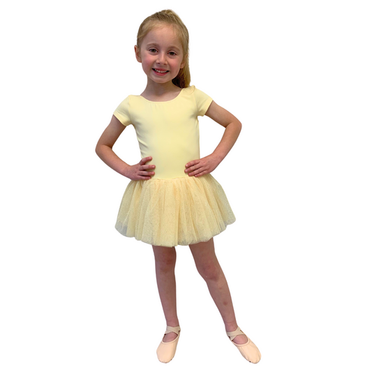 Bloch Cap Sleeve Tutu Dress - CL1022