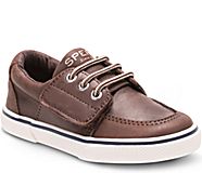 Sperry Ollie Jr sneaker in Brown Leather